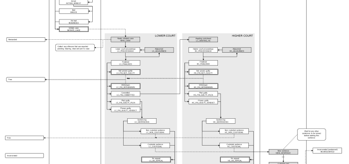 Flow chart of criminal justice processing